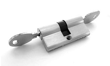 Личинка латунная 30х30мм для замка t155 ключ-ключ t155-101 SSS купить в Симферополе